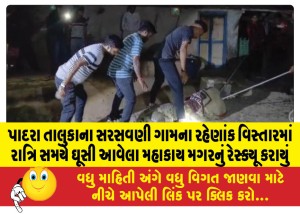 પાદરા તાલુકાના સરસવણી ગામના રહેણાંક વિસ્તારમાં રાત્રિ સમયે ઘૂસી આવેલા મહાકાય મગરનું રેસ્ક્યૂ કરાયું