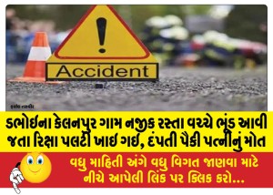 ડભોઇના કેલનપુર ગામ નજીક રસ્તા વચ્ચે ભૂંડ આવી જતા રિક્ષા પલટી ખાઇ ગઇ, દંપતી પૈકી પત્નીનું મોત