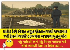 ચાંદોદ રેલ્વે સ્ટેશન નજીક એક્તાનગરથી અમદાવાદ જતી ટ્રેનની અડફેટે 60 વર્ષના અજાણ્યા વૃદ્ધનું મોત