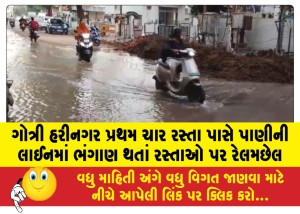 ગોત્રી હરીનગર પ્રથમ ચાર રસ્તા પાસે પાણીની લાઈનમાં ભંગાણ થતાં રસ્તાઓ પર રેલમછેલ