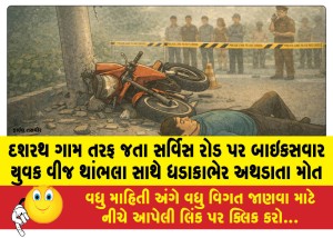 દશરથ ગામ તરફ જતા સર્વિસ રોડ પર બાઇકસવાર યુવક વીજ થાંભલા સાથે ધડાકાભેર અથડાતા મોત