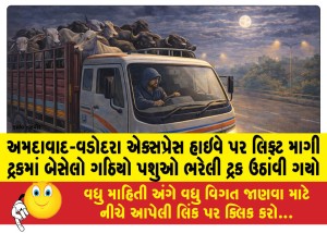 અમદાવાદ-વડોદરા એક્સપ્રેસ હાઇવે પર લિફ્ટ માગી ટ્રકમાં બેસેલો ગઠિયો પશુઓ ભરેલી ટ્રક ઉઠાંવી ગયો