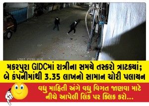 મકરપુરા GIDCમાં રાત્રીના સમયે તસ્કરો ત્રાટક્યાં; બે કંપનીમાંથી 3.35 લાખનો સામાન ચોરી પલાયન!