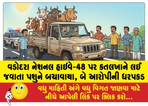વડોદરા નેશનલ હાઇવે-48 પર કતલખાને લઈ જવાતા પશુને બચાવાયા, બે આરોપીની ધરપકડ