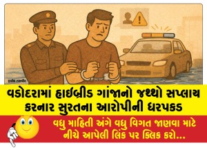 વડોદરામાં હાઇબ્રીડ ગાંજાનો જથ્થો સપ્લાય કરનાર સુરતના આરોપીની ધરપકડ