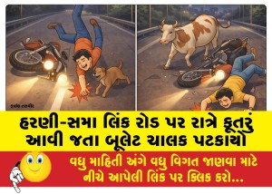હરણી-સમા લિંક રોડ પર રાત્રે કૂતરું આવી જતા બૂલેટ ચાલક પટકાયો