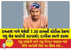 રામનાથ ગામે થયેલી 7.30 લાખની ચોરીના કેસમાં વધુ એક આરોપી ઝડપાયો; દાગીના કબજે કરાયા