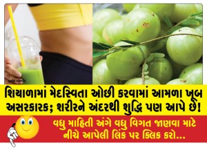 શિયાળામાં મેદસ્વિતા ઓછી કરવામાં આમળા ખૂબ અસરકારક; શરીરને અંદરથી શુદ્ધિ પણ આપે છે