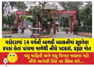 વડોદરામાં 14 વર્ષની બાળકી બાલ્કનીમાં સૂકવેલા કપડાં લેતાં પાંચમા માળેથી નીચે પટકાઇ, કરૂણ મોત