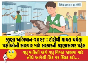 કરૂણા અભિયાન-૨૦૨૬ : દોરીથી ઘાયલ થયેલાં પક્ષીઓની સારવાર માટે સરકારની કરૂણાસભર પહેલ