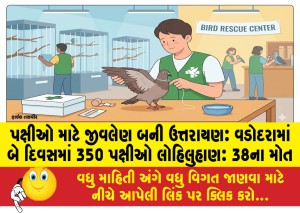 પક્ષીઓ માટે જીવલેણ બની ઉત્તરાયણઃ વડોદરામાં બે દિવસમાં 350 પક્ષીઓ લોહિલુહાણઃ 38ના મોત