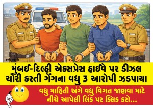 મુંબઈ-દિલ્હી એક્સપ્રેસ હાઈવે પર ડીઝલ ચોરી કરતી ગેંગના વધુ 3 આરોપી ઝડપાયા