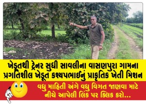 ખેડૂતથી ટ્રેનર સુધી સાવલીના વાસણપુરા ગામના પ્રગતિશીલ ખેડૂત કશ્યપભાઈનું પ્રાકૃતિક ખેતી મિશન
