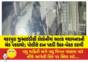 મકરપુરા જીઆઇડીસી કોલોનીમાં આતંક મચાવનારની એક પકડાયો; પોલીસે કાન પકડી ઉઠક-બેઠક કરાવી