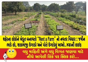 શહેરના લોકોને ખેડૂત બનાવતો Rent a Farm નો નવતર વિચાર : જમીન ભાડે લો, શાકભાજી ઉગાડો અને પોતે ઉગાડેલું ખાઓ..મજ્જાની લાઇફ