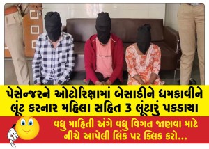 પેસેન્જરને ઓટોરિક્ષામાં બેસાડીને ધમકાવીને લૂંટ કરનાર મહિલા સહિત 3 લૂંટારું પકડાયા