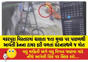 મકરપુરા વિસ્તારમાં ચાલતા જતા યુવક પર પાછળથી આવતી ક્રેનના ટાયર ફરી વળતાં ઘટનાસ્થળે જ મોત