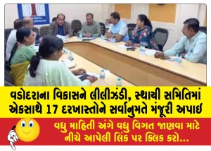 વડોદરાના વિકાસને લીલીઝંડી, સ્થાયી સમિતિમાં એકસાથે 17 દરખાસ્તોને સર્વાનુમતે મંજૂરી અપાઇ