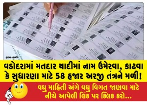 વડોદરામાં મતદાર યાદીમાં નામ ઉમેરવા, કાઢવા કે સુધારણા માટે 58 હજાર અરજી તંત્રને મળી!