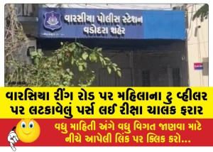 વારસિયા રીંગ રોડ પર મહિલાના ટુ વ્હીલર પર લટકાવેલું પર્સ લઈ રીક્ષા ચાલક ફરાર