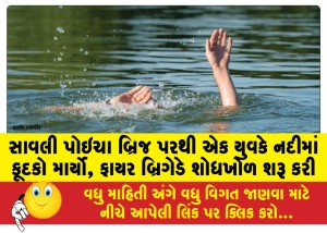 સાવલી પોઇચા બ્રિજ પરથી એક યુવકે નદીમાં કૂદકો માર્યો, ફાયર બ્રિગેડે શોધખોળ શરૂ કરી