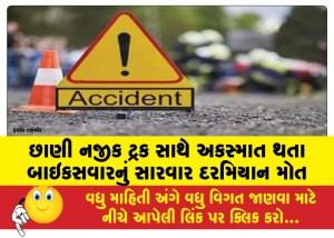 MailVadodara.com - Biker-dies-during-treatment-after-accident-with-truck-near-Chhani