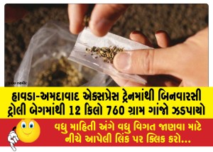 MailVadodara.com - 12-kg-760-grams-of-marijuana-seized-from-an-unauthorized-trolley-bag-on-Howrah-Ahmedabad-Express-train