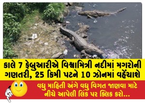 MailVadodara.com - Crocodile-count-in-Vishwamitri-river-tomorrow-February-7-25-km-stretch-will-be-divided-into-10-zones