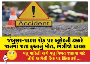 MailVadodara.com - Pua-dies-after-being-hit-by-a-bullet-on-Jambusar-Padra-road-nephew-injured