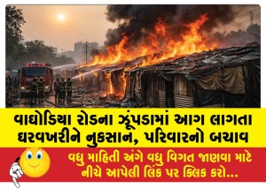MailVadodara.com - Fire-breaks-out-in-hut-on-Waghodia-Road-damages-house-family-rescued