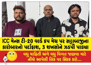 MailVadodara.com - Betting-business-on-ICC-Mens-T20-World-Cup-matches-exposed-3-people-arrested