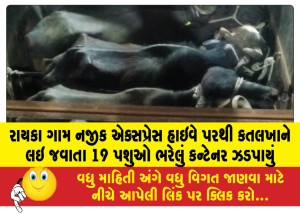 MailVadodara.com - Container-containing-19-animals-being-taken-to-slaughterhouse-from-express-highway-near-Raika-village
