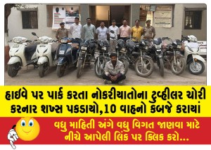MailVadodara.com - Man-arrested-for-stealing-two-wheelers-of-employees-parked-on-highway-10-vehicles-seized