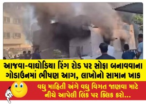 MailVadodara.com - Massive-fire-breaks-out-in-sofa-manufacturing-godown-on-Ajwa-Waghodia-Ring-Road-goods-worth-lakhs-gutted