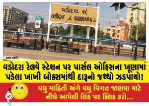 MailVadodara.com - A-quantity-of-liquor-was-seized-from-a-khaki-box-lying-in-the-corner-of-the-parcel-office-at-Vadodara-railway-station