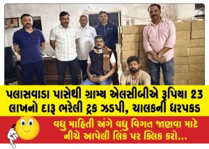 MailVadodara.com - Rural-LCB-seizes-truck-loaded-with-liquor-worth-Rs-23-lakh-near-Palaswada-driver-arrested