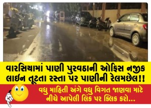 MailVadodara.com - Water-gushes-on-the-road-after-a-line-breaks-near-the-water-supply-office-in-Warsia