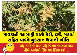 MailVadodara.com - Fear-of-damage-to-crops-including-mango-wheat-corn-amid-forecast-of-monsoon
