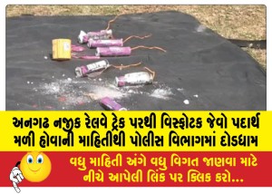 MailVadodara.com - Police-department-in-a-state-of-panic-after-information-of-explosive-like-substance-found-on-railway-tracks-near-Anagarh