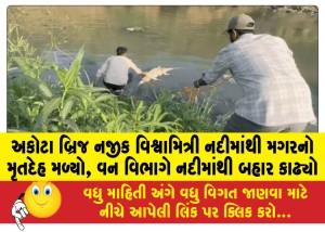 MailVadodara.com - Crocodile-body-found-in-Vishwamitri-river-near-Akota-bridge-forest-department-pulls-it-out-of-the-river