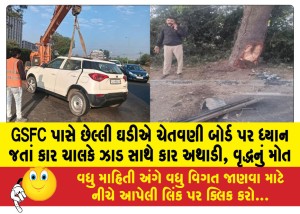 MailVadodara.com - Car-driver-crashes-into-tree-after-ignoring-warning-board-at-GSFC-at-last-minute-elderly-dies