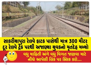 MailVadodara.com - The-body-of-an-unidentified-youth-was-found-on-the-railway-tracks-just-300-meters-from-the-Sakariapura-railway-gate