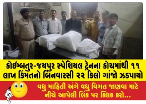 MailVadodara.com - 22-kg-of-unlicensed-marijuana-worth-Rs-11-lakh-seized-from-coach-of-Coimbatore-Jaipur-special-train