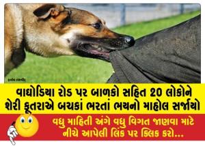 MailVadodara.com - An-atmosphere-of-fear-was-created-as-20-people-including-children-were-bitten-by-a-stray-dog