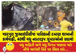 Action-taken-by-the-Municipal-Corporations-enforcement-branch-in-Makarpura-GIDC-more-than-40-nuisance-huts-cleared