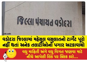 In-Vadodara-district-the-salaries-of-many-Talatis-were-stopped-as-the-revenue-collection-target-was-not-met