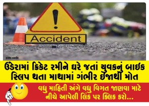 MailVadodara.com - A-young-man-died-of-serious-head-injuries-after-his-bike-slipped-while-returning-home-after-playing-cricket-in-Undara