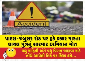 પાદરા-જંબુસર રોડ પર ટ્રકે ટક્કર મારતા ઘાયલ પુત્રનું સારવાર દરમિયાન મોત