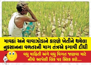 માવઠાં અને વાવાઝોડાને કારણે ખેતીને થયેલા નુકસાનના વળતરની માગ તંત્રએ ફગાવી દીધી