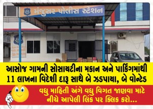 આસોજ ગામની સોસાયટીના મકાન અને પાર્કિંગમાંથી 11 લાખના વિદેશી દારૂ સાથે બે ઝડપાયા, બે વોન્ટેડ